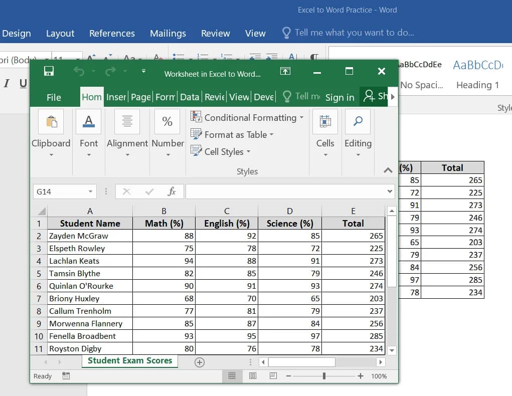 Embedding Excel within the MS Word File