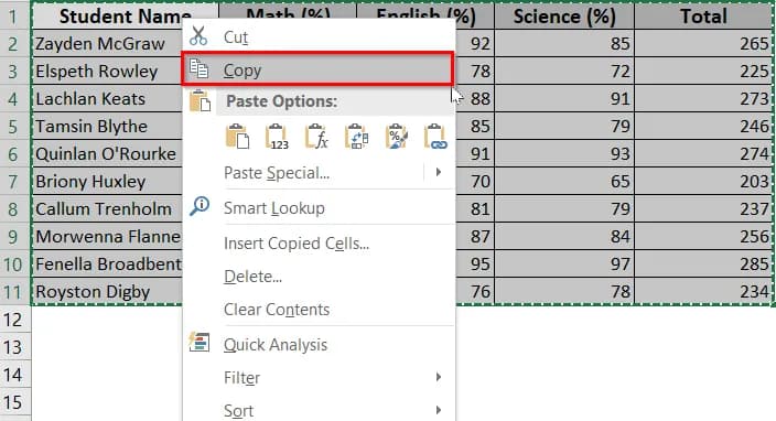 Copy Data from Excel to Word Without Losing Formatting Using ‘Paste’ Options