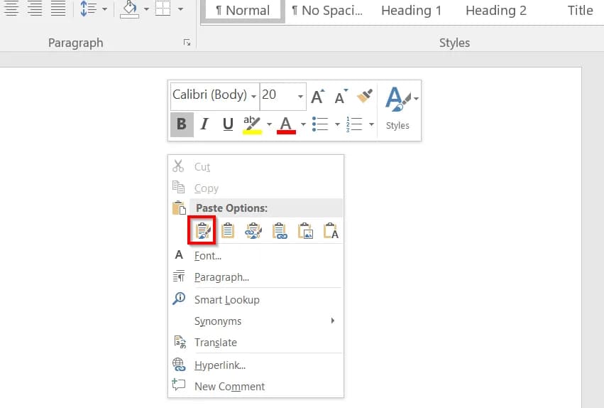 Copy Data from Excel to Word Without Losing Formatting Using ‘Paste’ Options