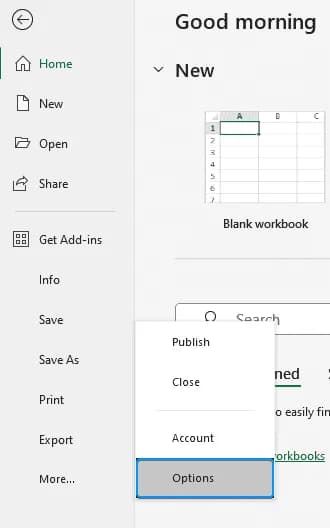 Excel options