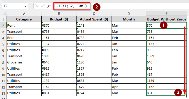 Formatting Cells Using the TEXT Formula