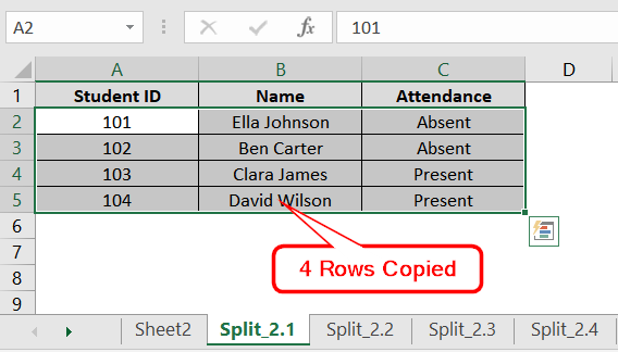 Using Manual Copy and Paste to Split Excel Sheet by Rows