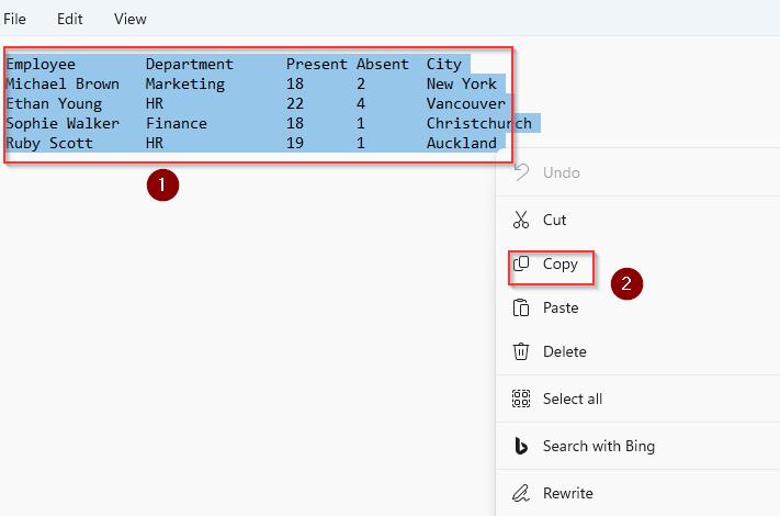 Copy and Paste Notepad Data to Excel