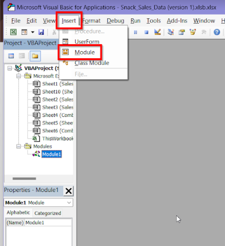 clicking insert and module