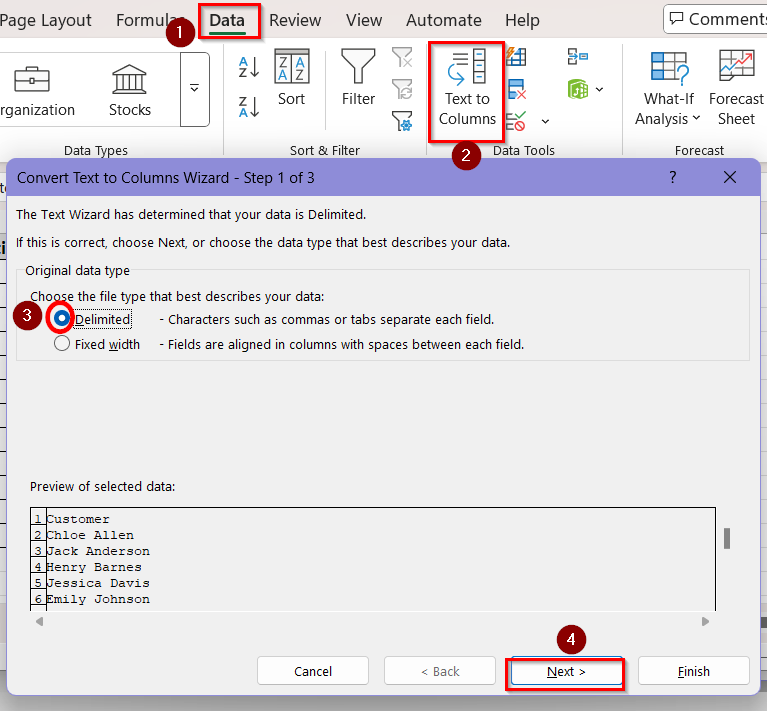 choosing file type as delimitted