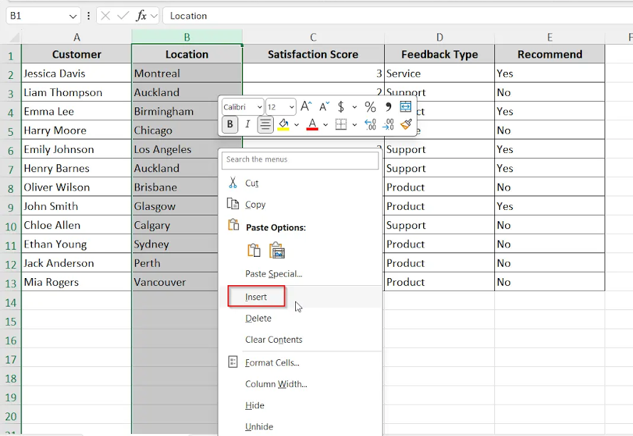 clicking insert option