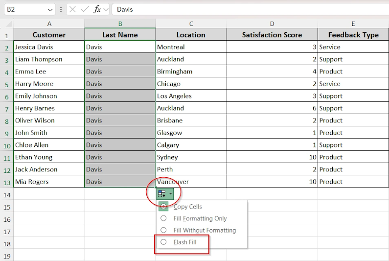 clicking flash fill option