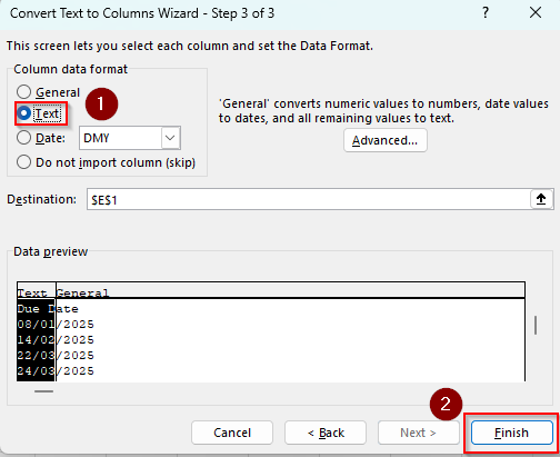 Using the Text to Columns Feature to Separate the Year Column