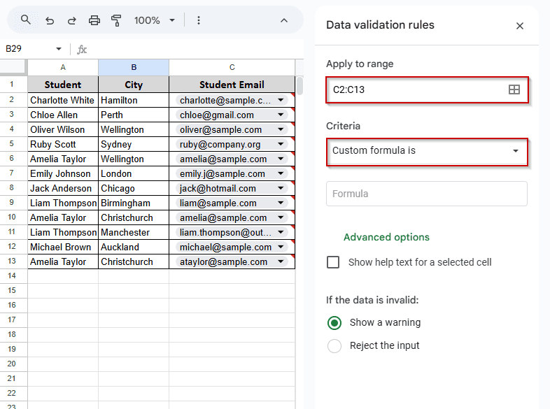 Domain-Specific Email Validation