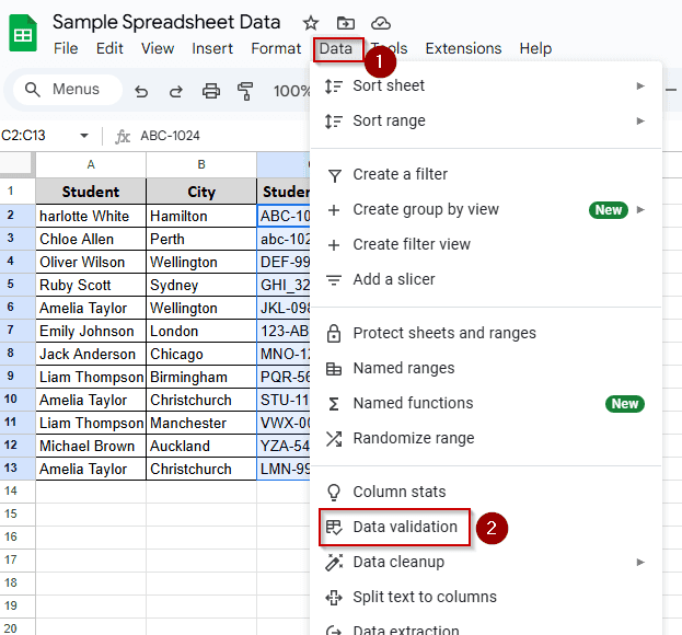 Pattern-Based Validation with Regex
