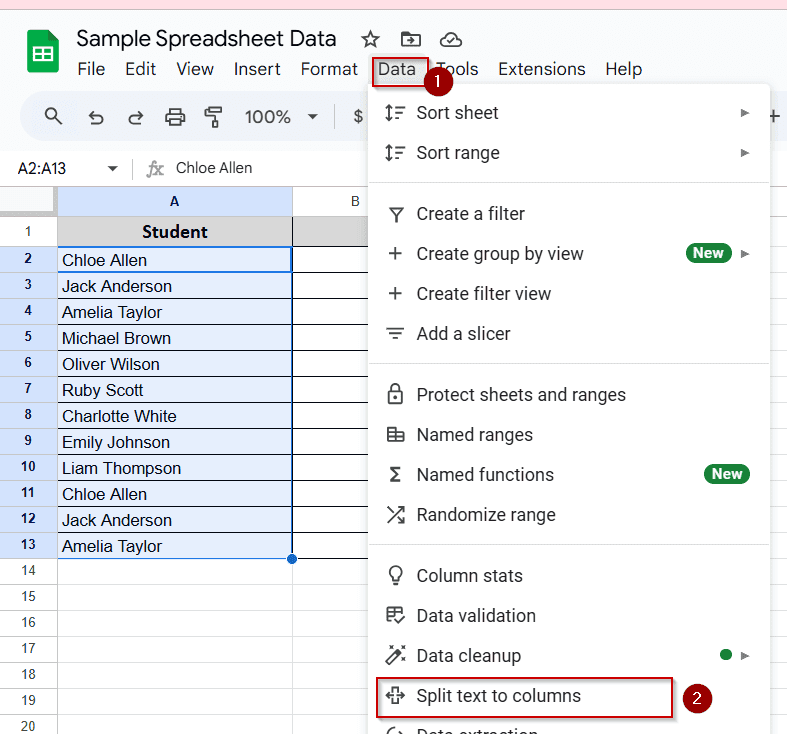 Use the “Split Text to Columns” Feature (Menu Option)