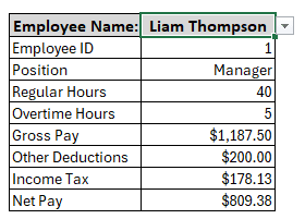 Producing Automated Individual Payroll in Excel