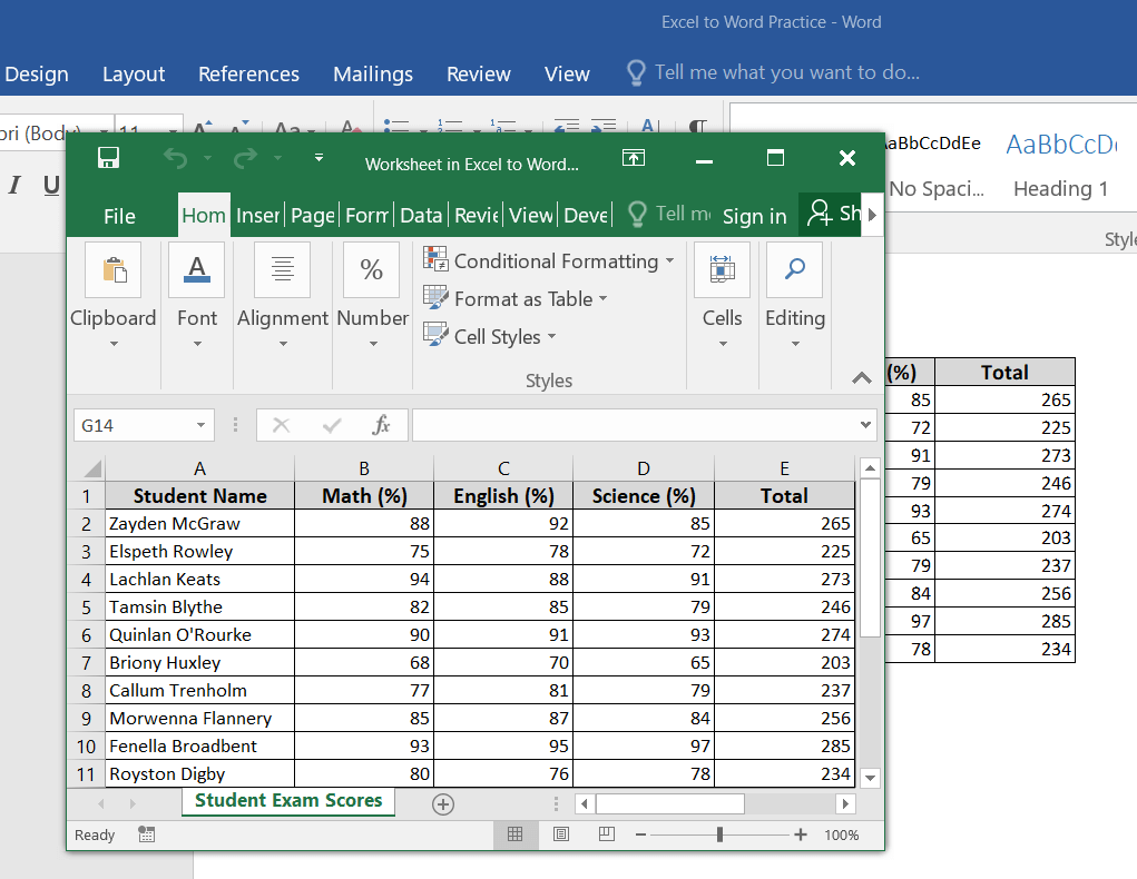 Embedding Excel within the MS Word File