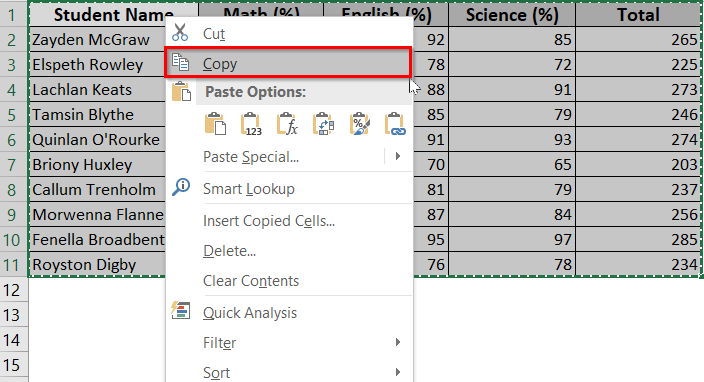 Copy Data from Excel to Word Without Losing Formatting Using ‘Paste’ Options