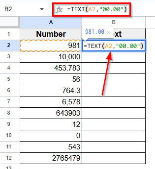 Using the TEXT Function
