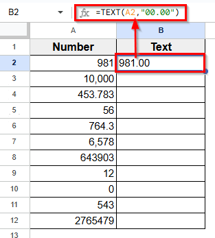 Using the TEXT Function