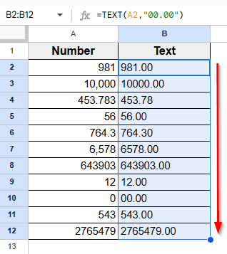 Using the TEXT Function