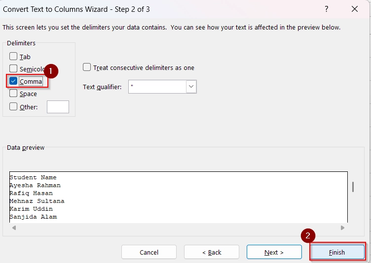 Using Text to Columns Tool to Copy Text into Several Cells from Word to Excel