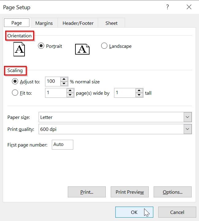 Using the Page Setup Dialog Box to Print the Selected Area