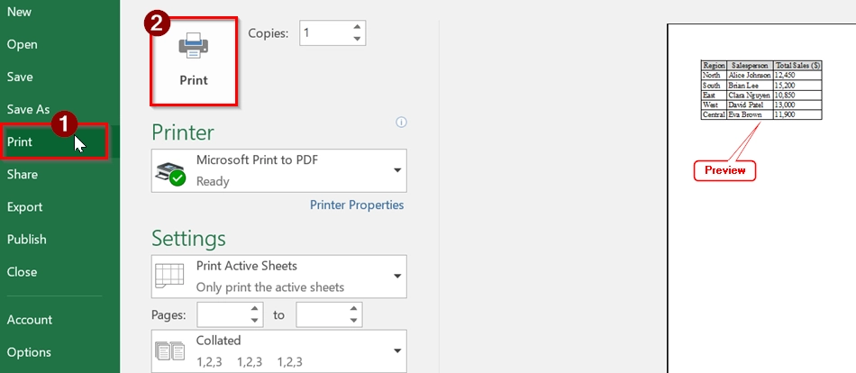 Using the Page Setup Dialog Box to Print the Selected Area