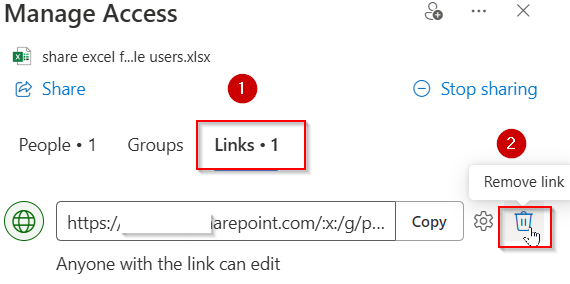 Unshare Workbook via Manage Access Option (Co-authoring Mode)