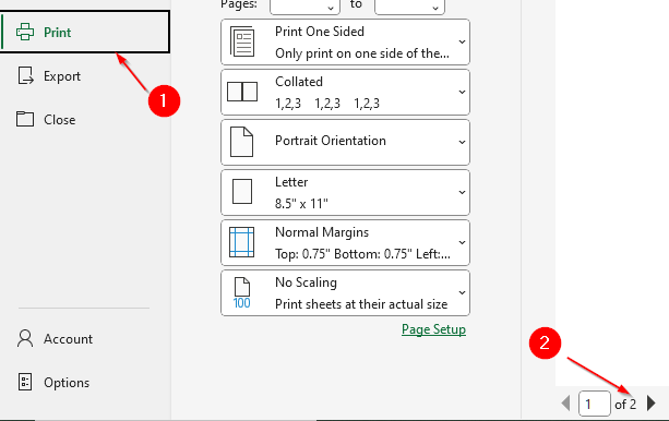Manually Delete Extra Sheets in Excel Dataset Before Printing
