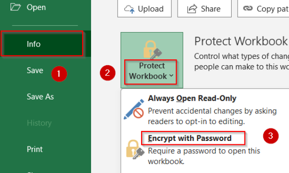How to Password Protect Excel Sheet from Viewing (5 Ways) - Excel Insider