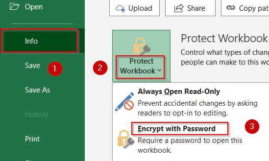 Encrypt the Entire Workbook with a Password