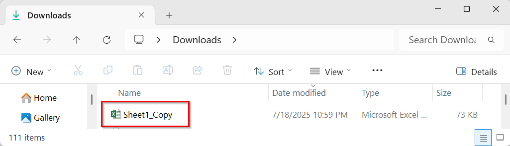 Save One/ Specific Worksheet as a New Excel File