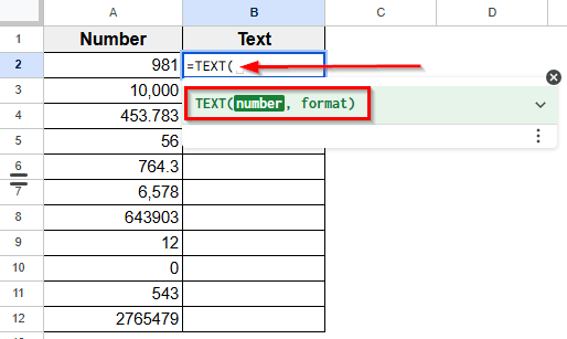 Using the TEXT Function