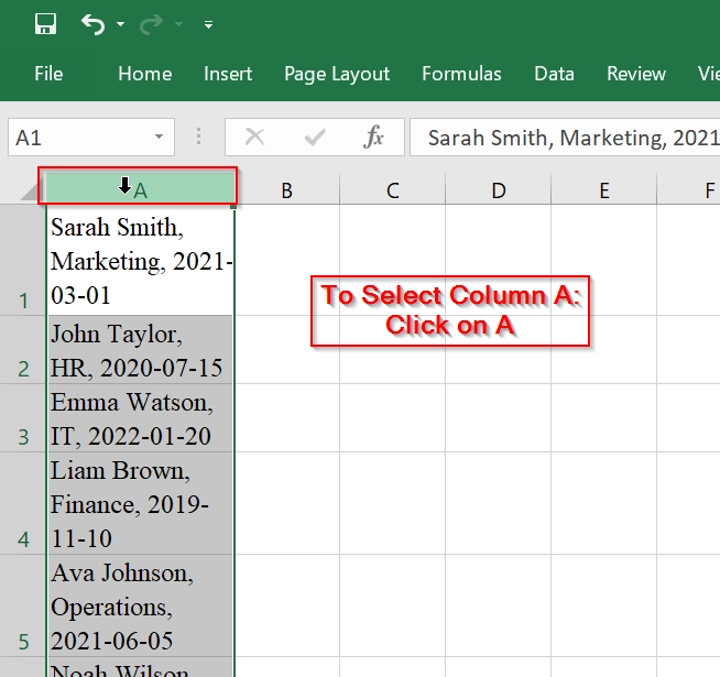 Using Text to Columns Tool to Copy Text into Several Cells from Word to Excel