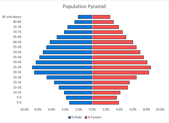 how to make a population pyramid in excel with charts