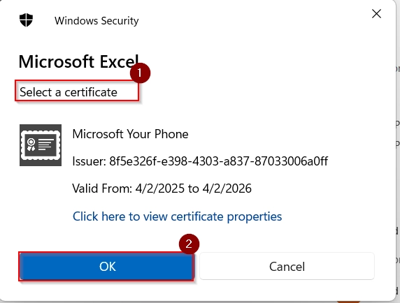 Insert Invisible Digital Signatures in Excel