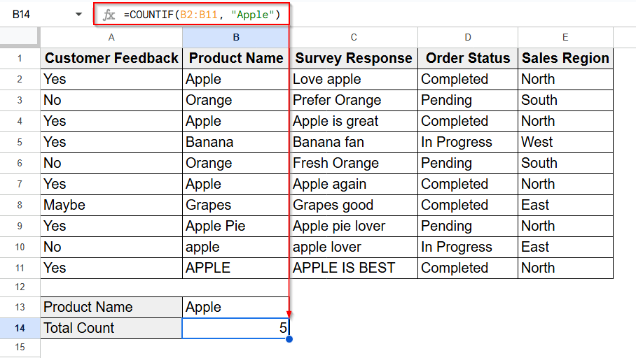 Using COUNTIF for an Exact Match to Count Cells with Specific Text