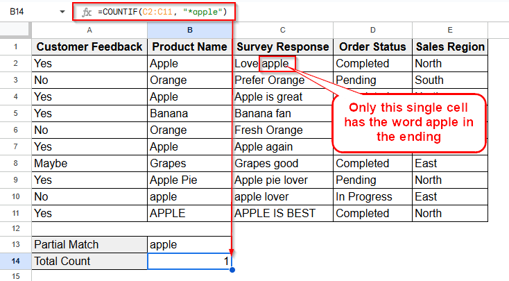 Using COUNTIF for Partial Matches to Count Cells with Specific Text