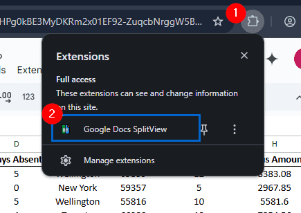 Split Screen Different Sheets Using Extensions
