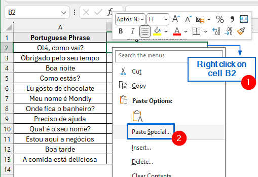 Translate Portuguese to English Using Excel’s Review Tab