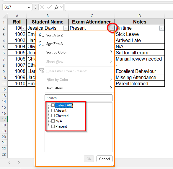 Using Excel Filters to Delete Rows