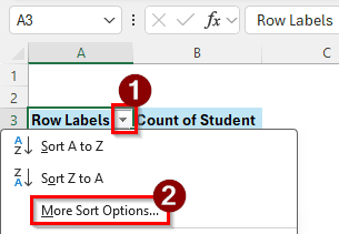 Sorting from More Sort Options