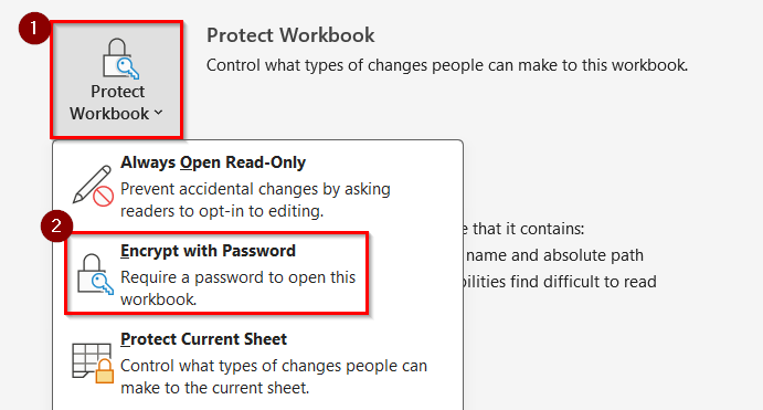 Encrypt the Shared Excel File with a Password