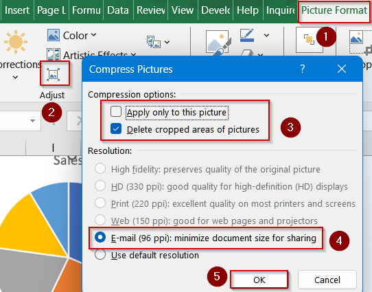Compress Pictures Using the Picture Format Tool