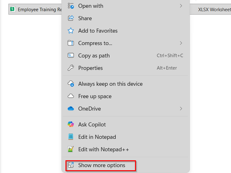 Set Permissions for Shared Excel Files in OneDrive