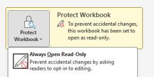How to Make an Excel File Read-Only (3 Suitable Ways) - Excel Insider