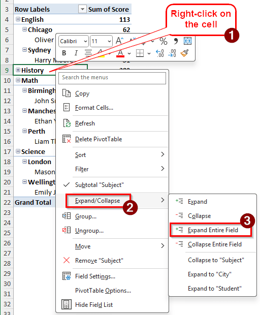 Expand the Pivot Table