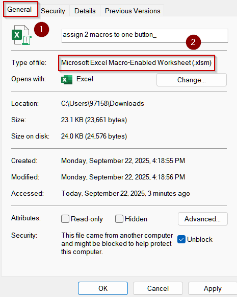 Verify File Format and Enable Macro Settings Globally
