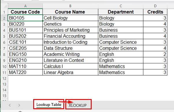 Create a Lookup Table using XLOOKUP Function