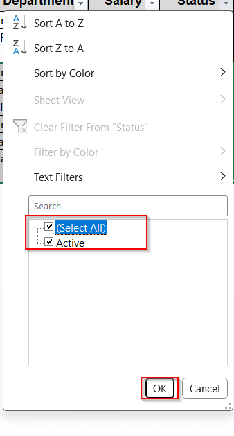 Delete Hidden Rows Created by Filter Option