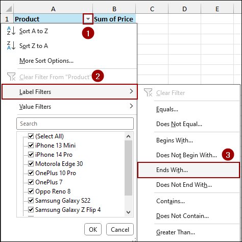 Using Label Filters to Filter Text Values