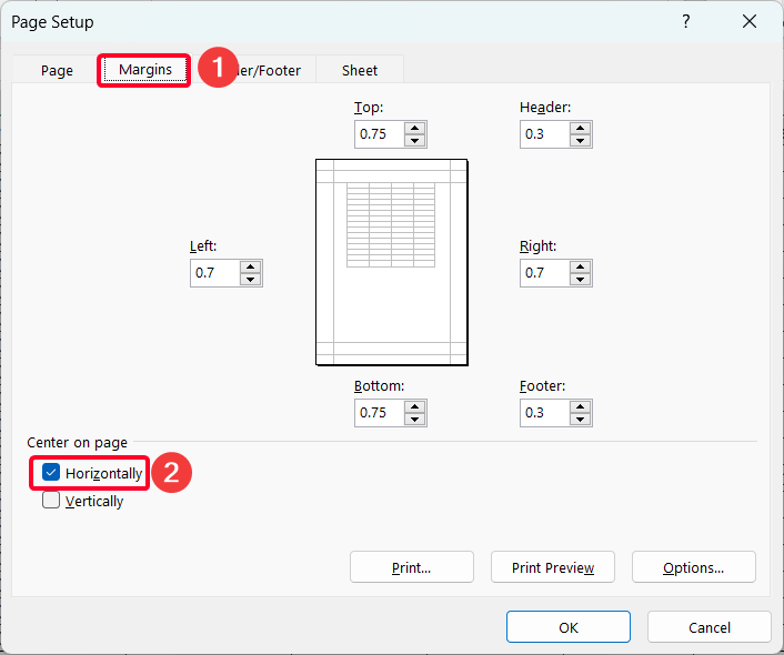 Steps to Make an Excel Spreadsheet Look Like a Page