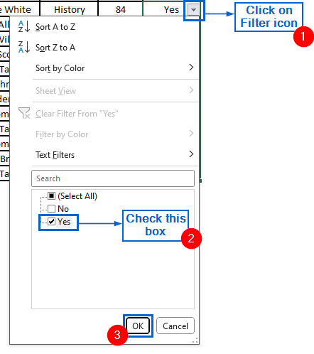 Use the Filter Tool to Highlight Yes and No